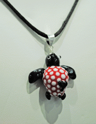 Polka Dot Turtle