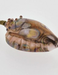 Swirling Sands Conch Shell
