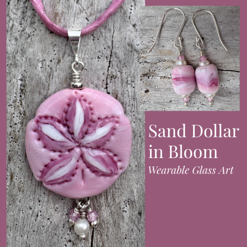 Sand Dollar in Bloom